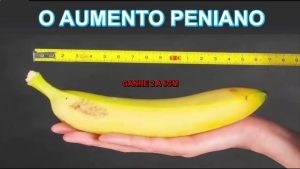 acompanhante O que é desempenho sexual e como melhorar ?